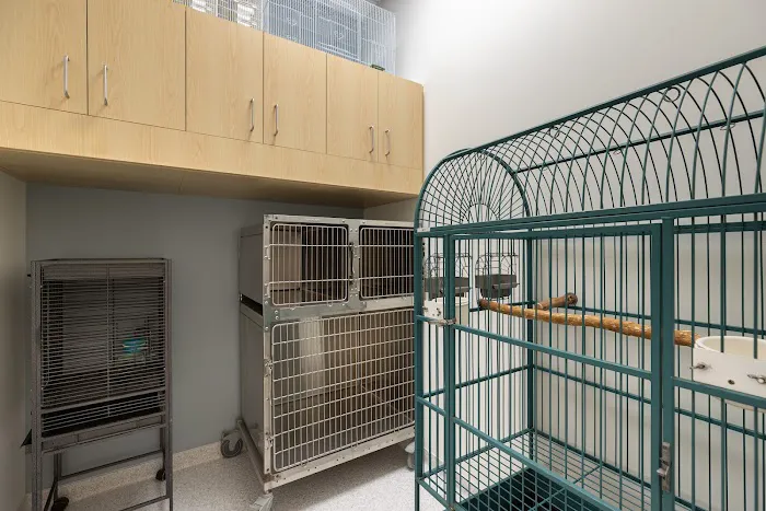 North Hills Animal Hospital Picture 9