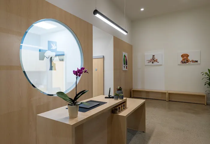 North Hills Animal Hospital Picture 6