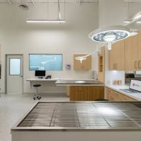 North Hills Animal Hospital ico