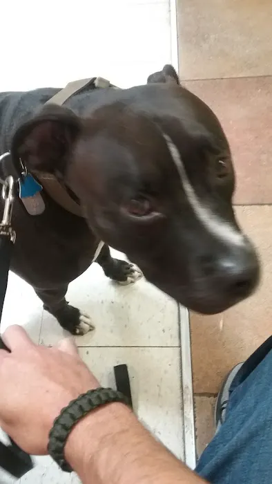 Banfield Pet Hospital Picture 1