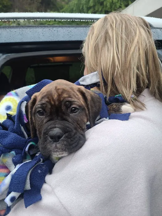 Banfield Pet Hospital Picture 2