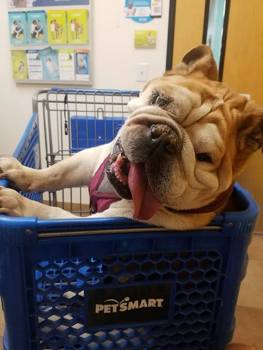 Banfield Pet Hospital Picture 9