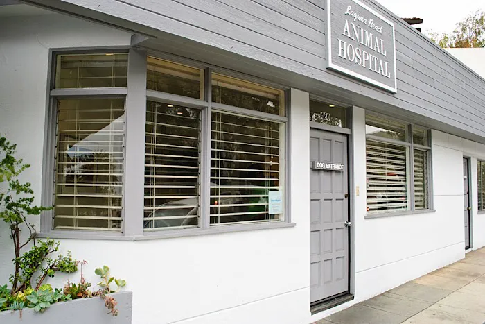 Laguna Beach Animal Hospital Picture 7