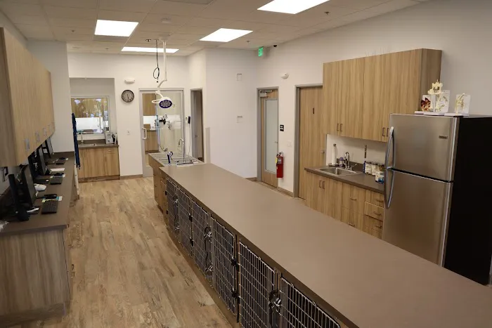 Aliso Viejo Animal Hospital Picture 1