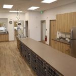 Aliso Viejo Animal Hospital