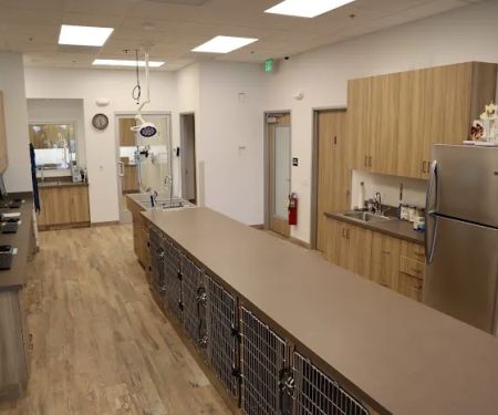 Aliso Viejo Animal Hospital