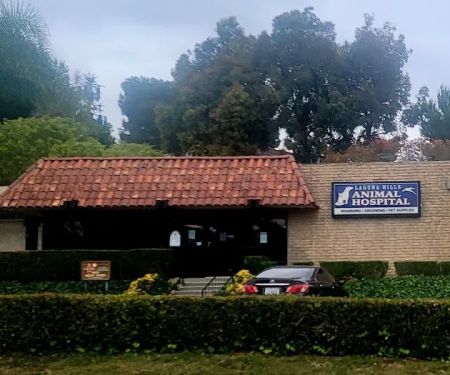 Laguna Hills Animal Hospital: Costuma Steve DVM