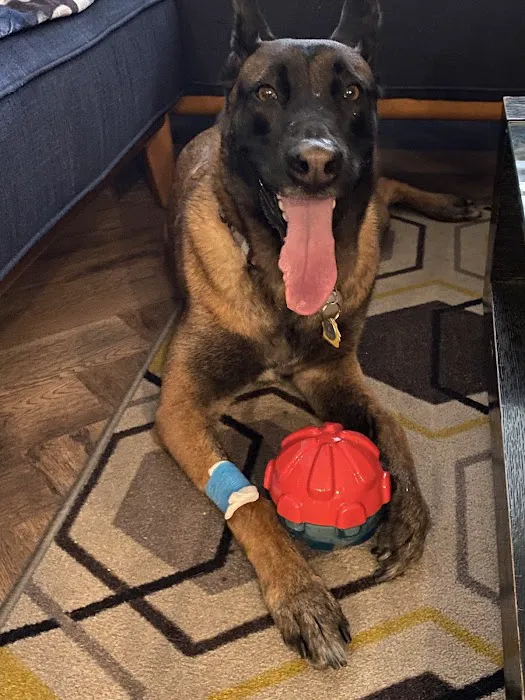 Aliso Niguel Animal Hospital Picture 4
