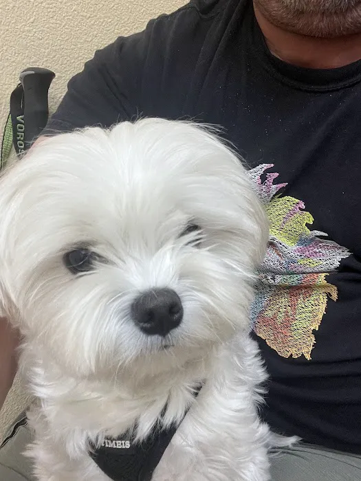 Aliso Niguel Animal Hospital Picture 9