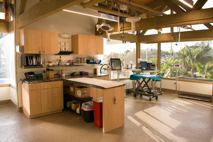 Arch Beach Veterinary Clinic Picture 4