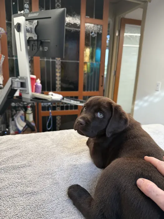 Arch Beach Veterinary Clinic Picture 3
