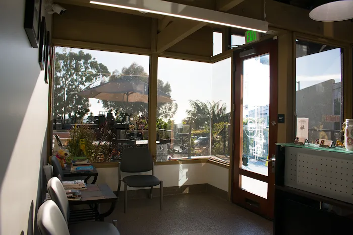 Arch Beach Veterinary Clinic Picture 7