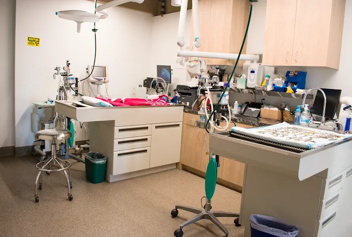 Arch Beach Veterinary Clinic Picture 9