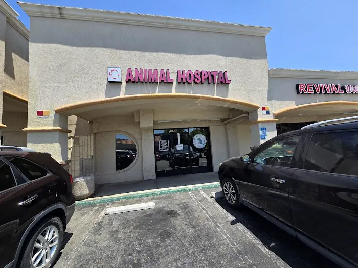 Laguna Pet Care Center Picture 2