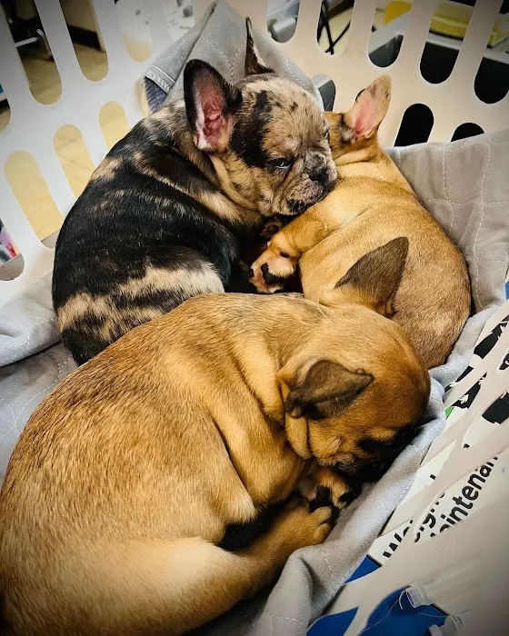 Aliso Beach Animal Clinic Picture 4