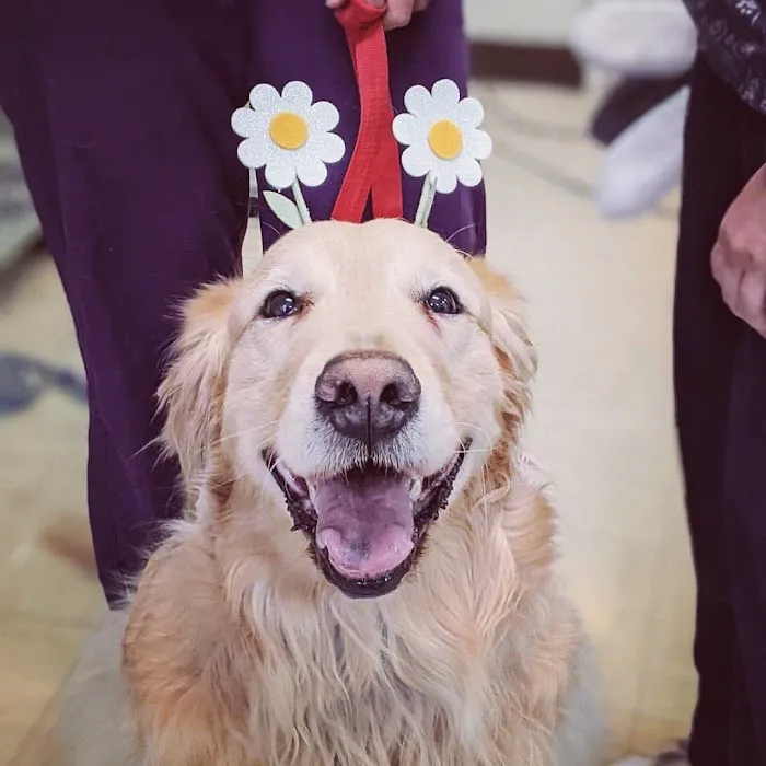 Aliso Beach Animal Clinic Picture 7