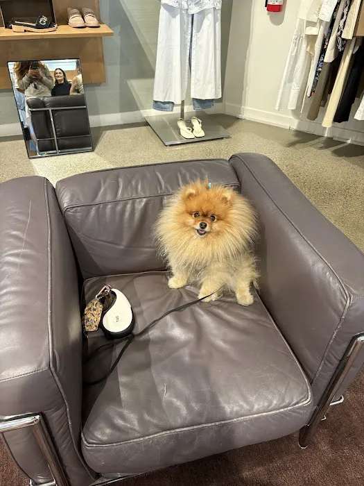 Alicia Pacific Veterinary Center Picture 1