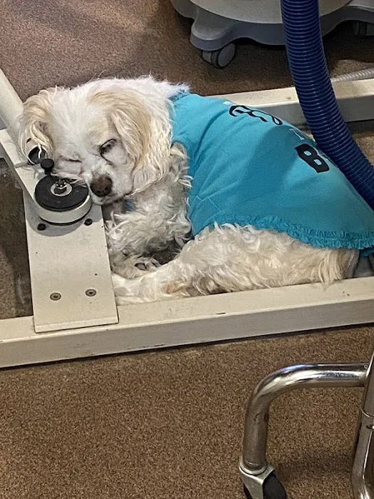 Alicia Pacific Veterinary Center Picture 9
