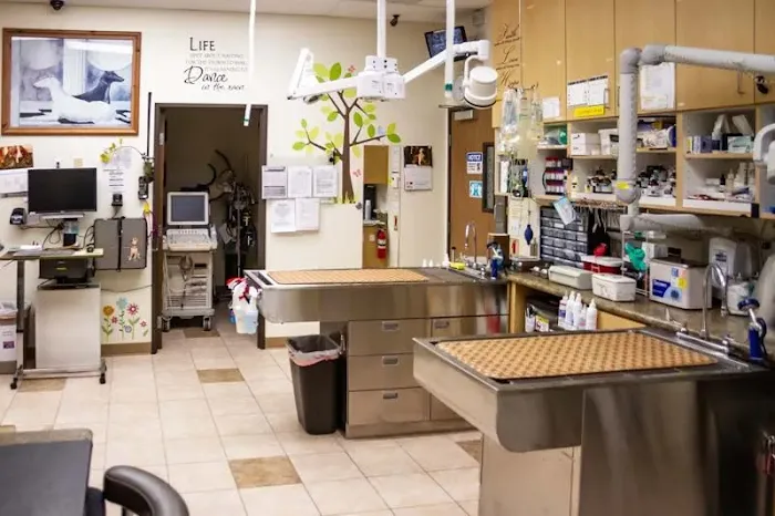 South Coast Veterinary Hospital Picture 10