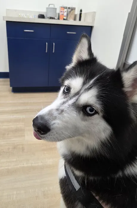 EPIC Pet Center Picture 1