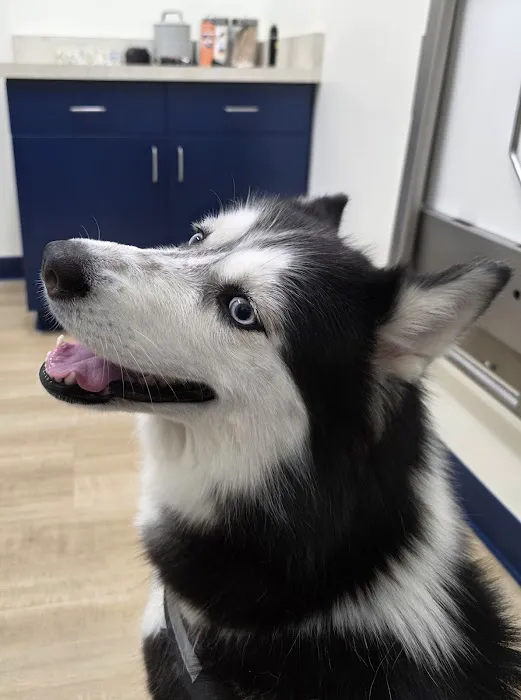 EPIC Pet Center Picture 4