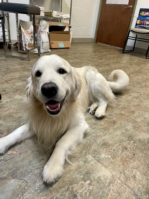 Stone Ridge Veterinary Medical Center Picture 1