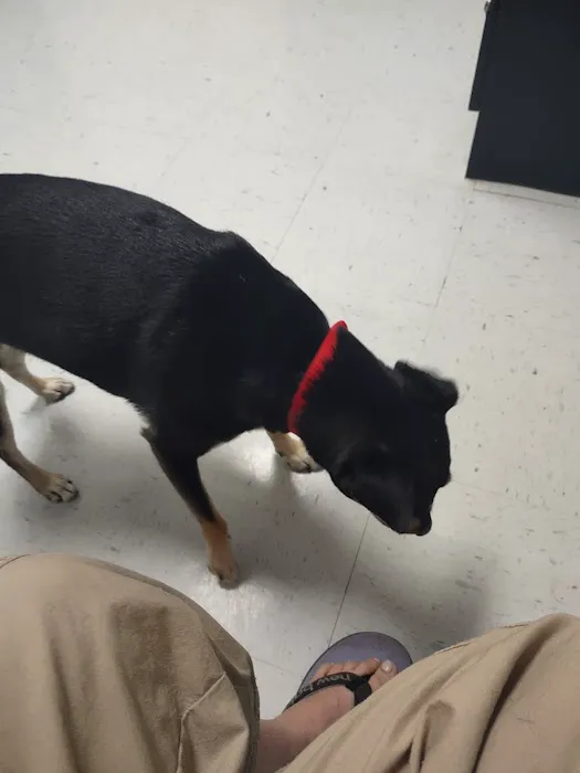 Bridgeway Animal Clinic Picture 3