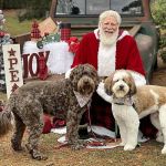 Bridgeway Animal Clinic
