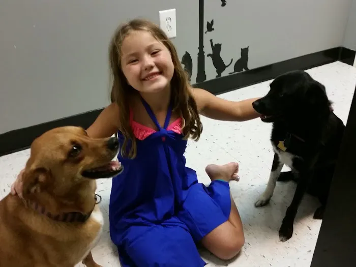 Bridgeway Animal Clinic Picture 5