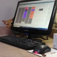 Animal Hospital of Montgomery: Joey L Romero DVM ico