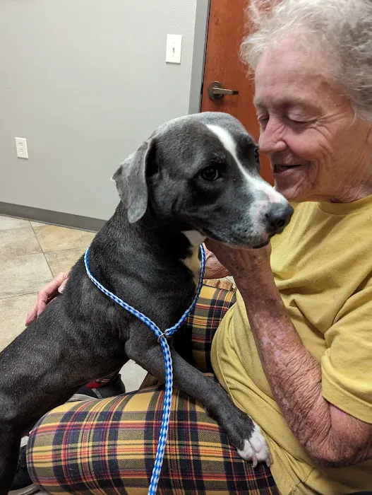 Animal Hospital of Montgomery Picture 6
