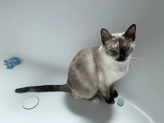 Wags 2 Whiskers Veterinary Hospital Picture 2