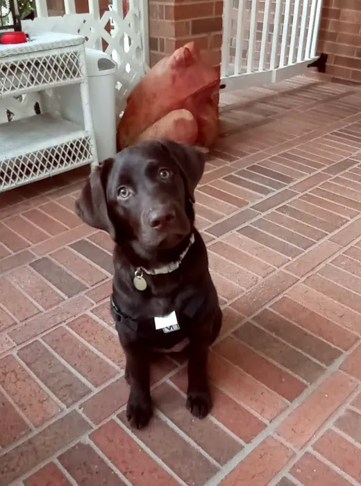Wags 2 Whiskers Veterinary Hospital Picture 8