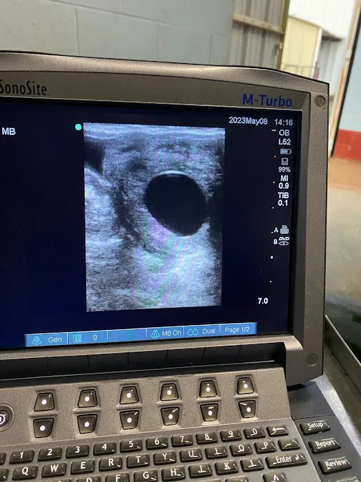 Collier Equine Vet Services Picture 1