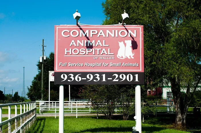 Companion Animal Hospital of Waller Picture 1