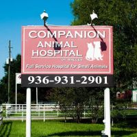 Companion Animal Hospital of Waller ico