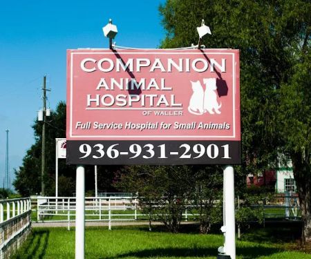Companion Animal Hospital of Waller