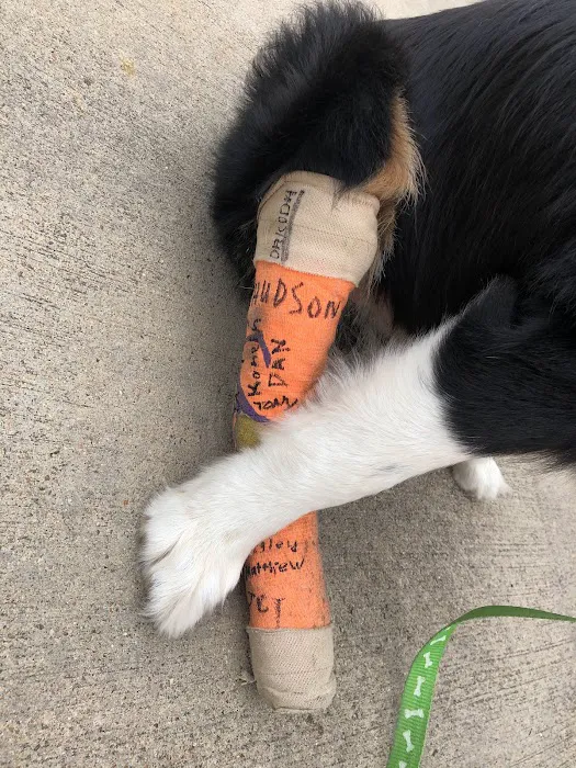 Companion Animal Hospital of Waller Picture 5