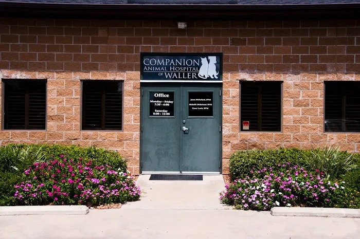 Companion Animal Hospital of Waller Picture 4