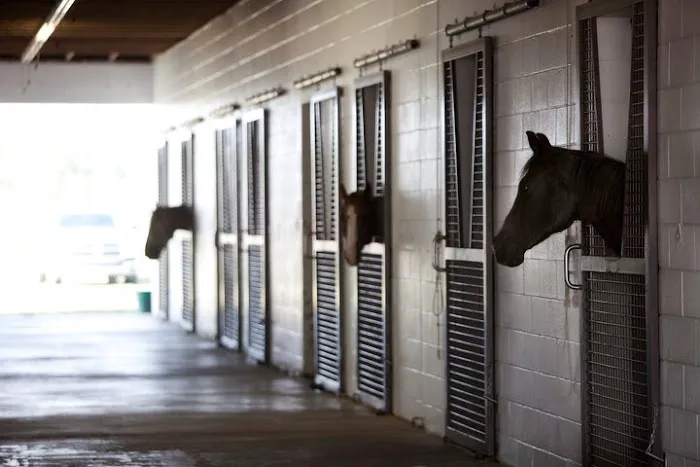 Waller Equine Hospital Picture 5