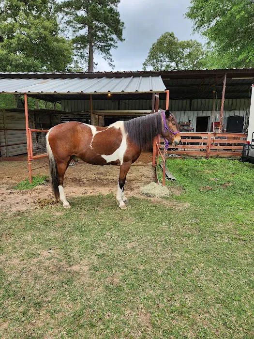 Equine Partners Veterinary Service Picture 2