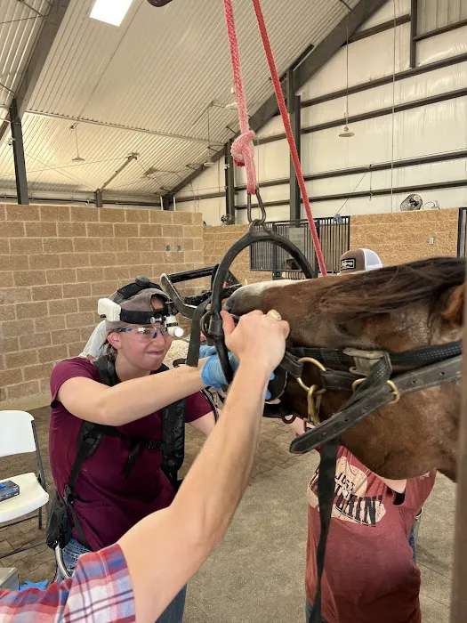 Equine Partners Veterinary Service Picture 3
