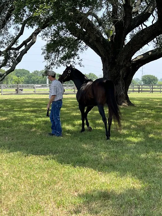 Equine Partners Veterinary Service Picture 7