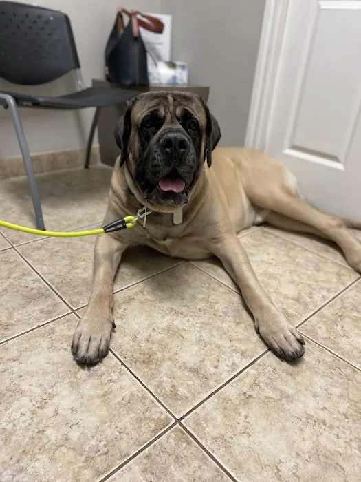 Stoneside Veterinary Hospital Picture 6