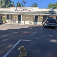 Camino Animal Hospital ico