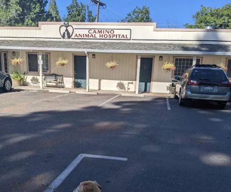 Camino Animal Hospital
