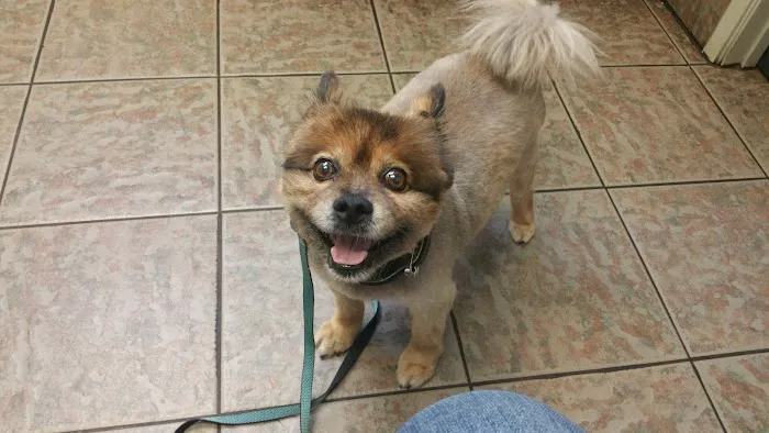 Camino Animal Hospital Picture 6