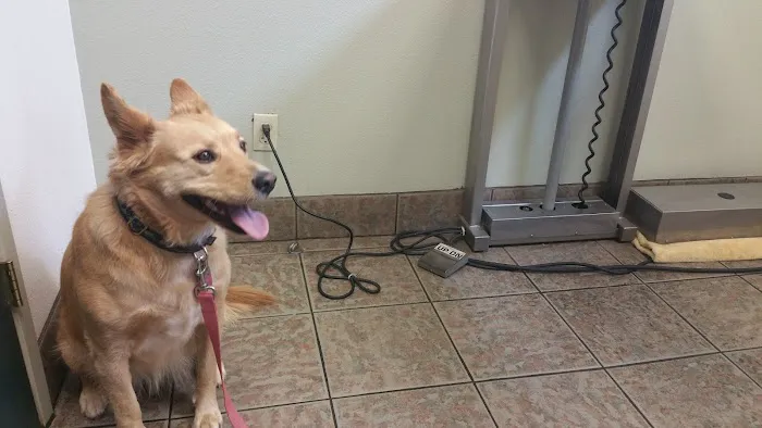 Camino Animal Hospital Picture 7