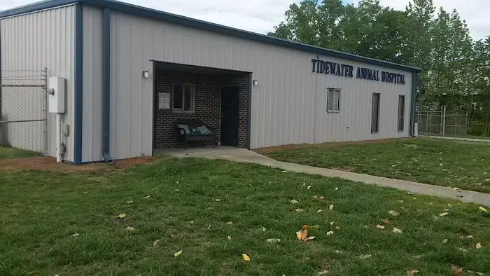 Tidewater Animal Hospital Picture 6