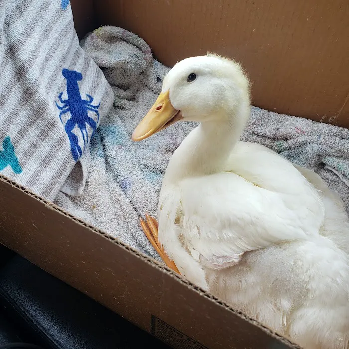 Tidewater Animal Hospital Picture 7